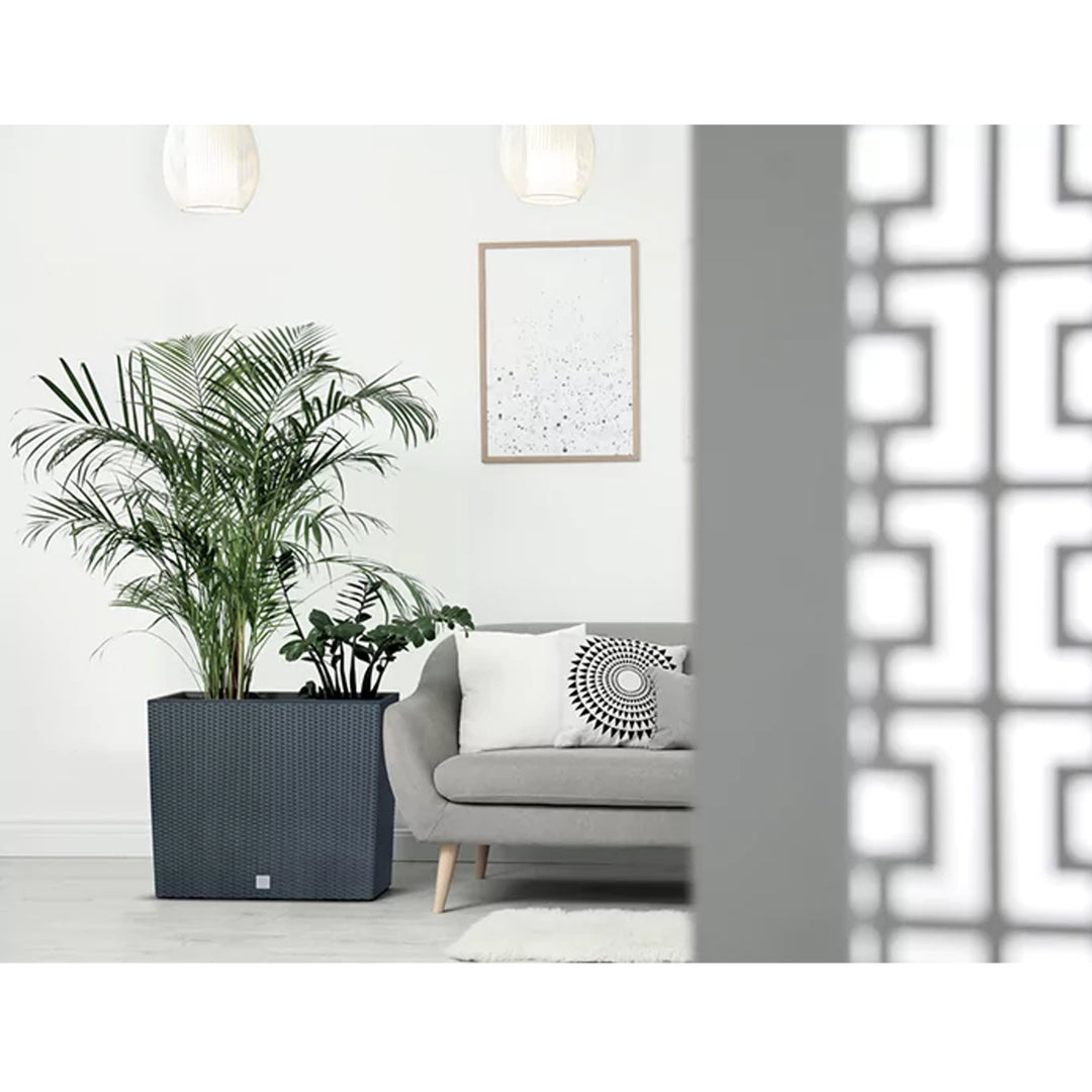 Prosperplast Rato Case T DRC600T-S433 betétdoboz - antracit színű