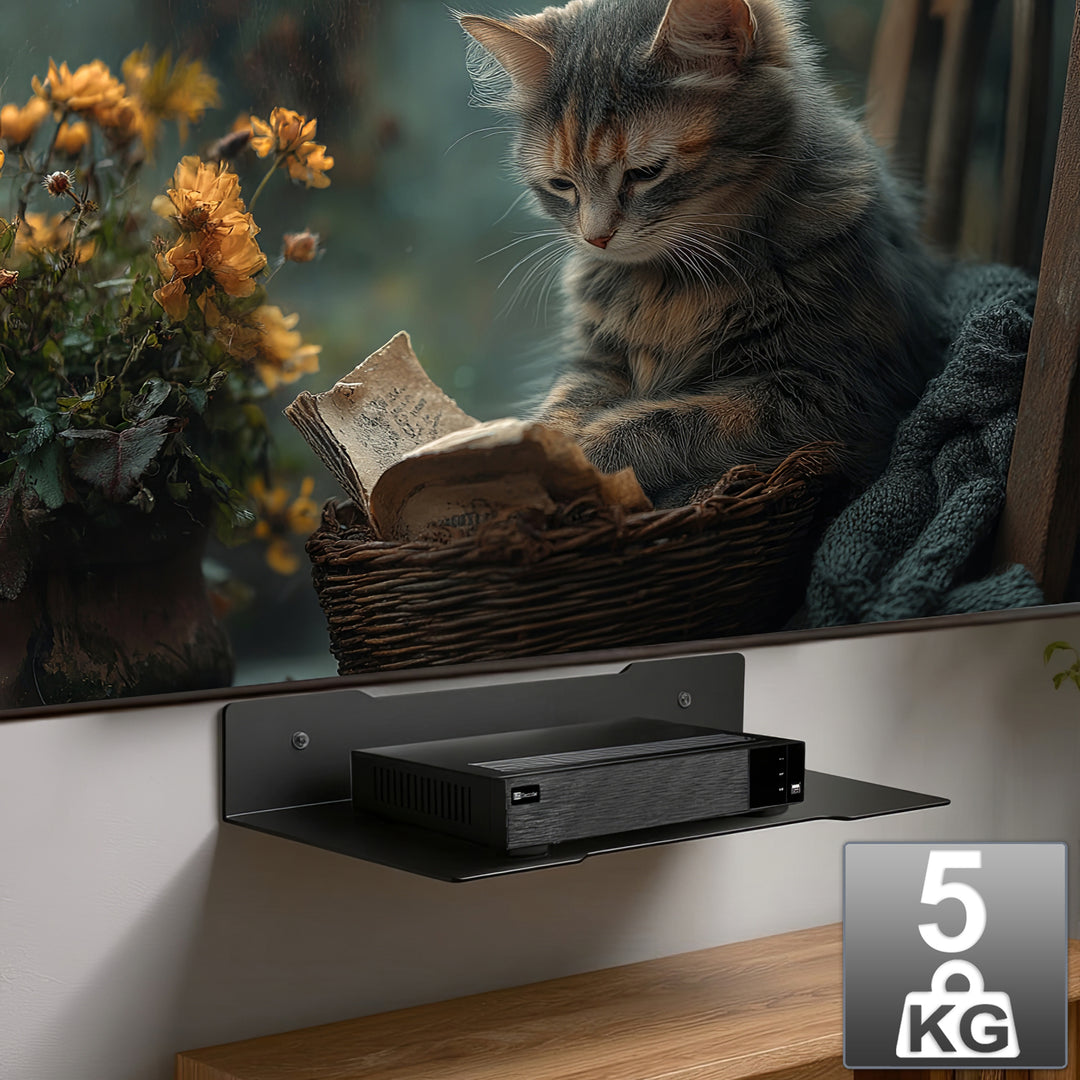 Maclean dekóderes fali polc, egyszemélyes, max. 5kg, acél, MC-122