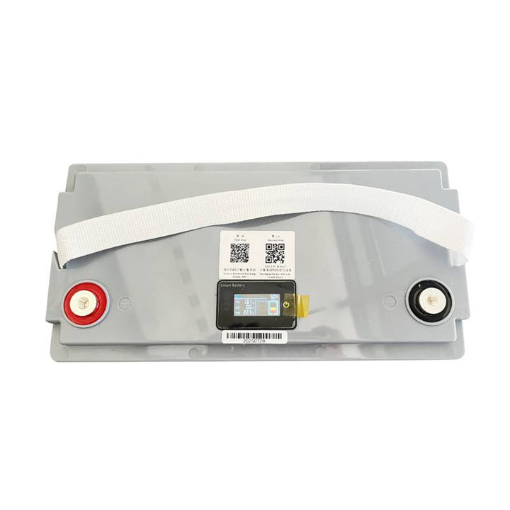 LiFePo4 Lexton lítium-vas-foszfát akkumulátor, BMS, 12.8V, 100Ah, LXLFP100 + LTC Energy LiFePO4 akkumulátor töltővel
