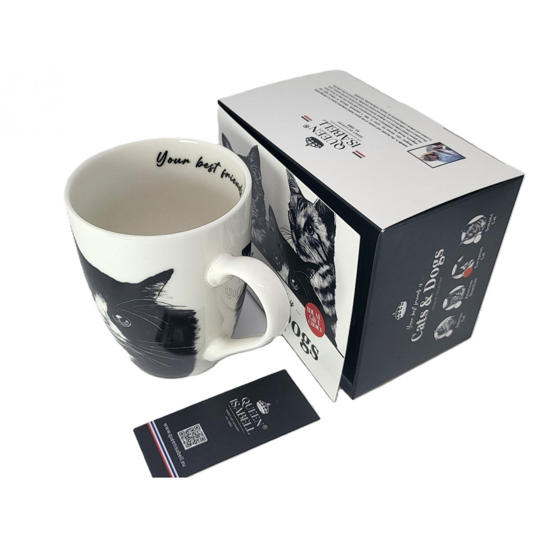 Isabel királynő porcelán bögre, európai macska, 350ml, Q1-05218