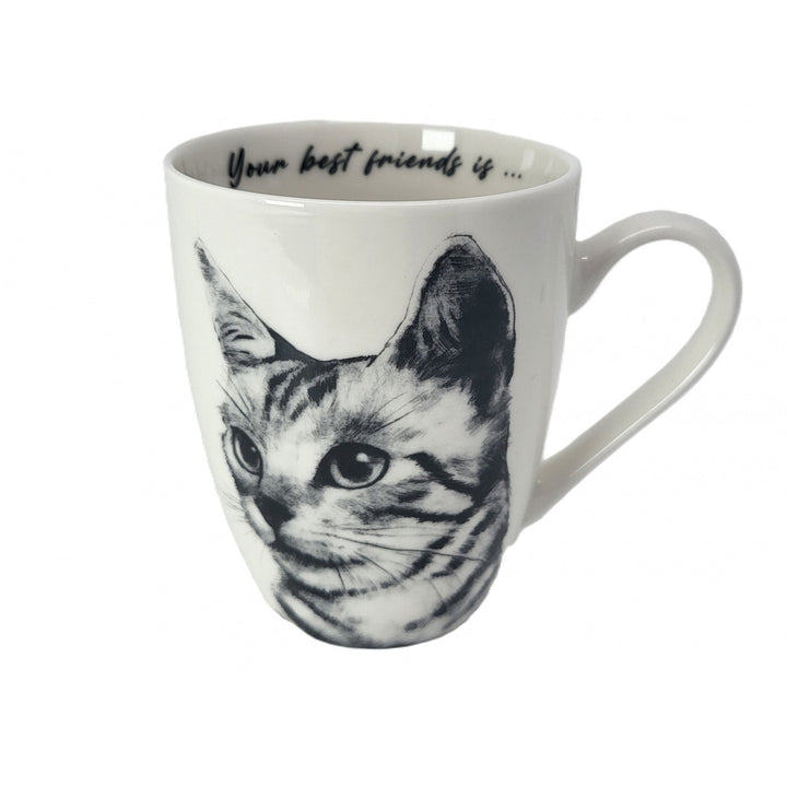 Isabel királynő porcelán bögre, Sokake macska, 350ml, Q1-05218