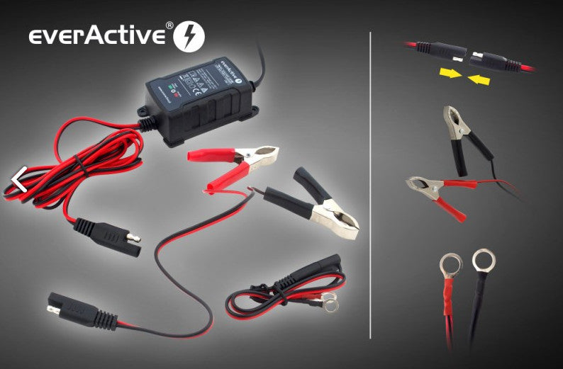 Töltő töltő 6V / 12V everActive CBC-1
