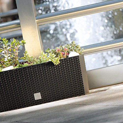 Prosperplast rattan virágcserép Rato Case DRTC500 440U umbra