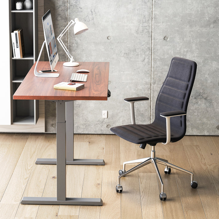 Ergo Office elektromos állítható magasságú íróasztal, szürke, max. magasság 123 cm, 80 kg - lap nélkül, álló és ülő munkához, ER-433