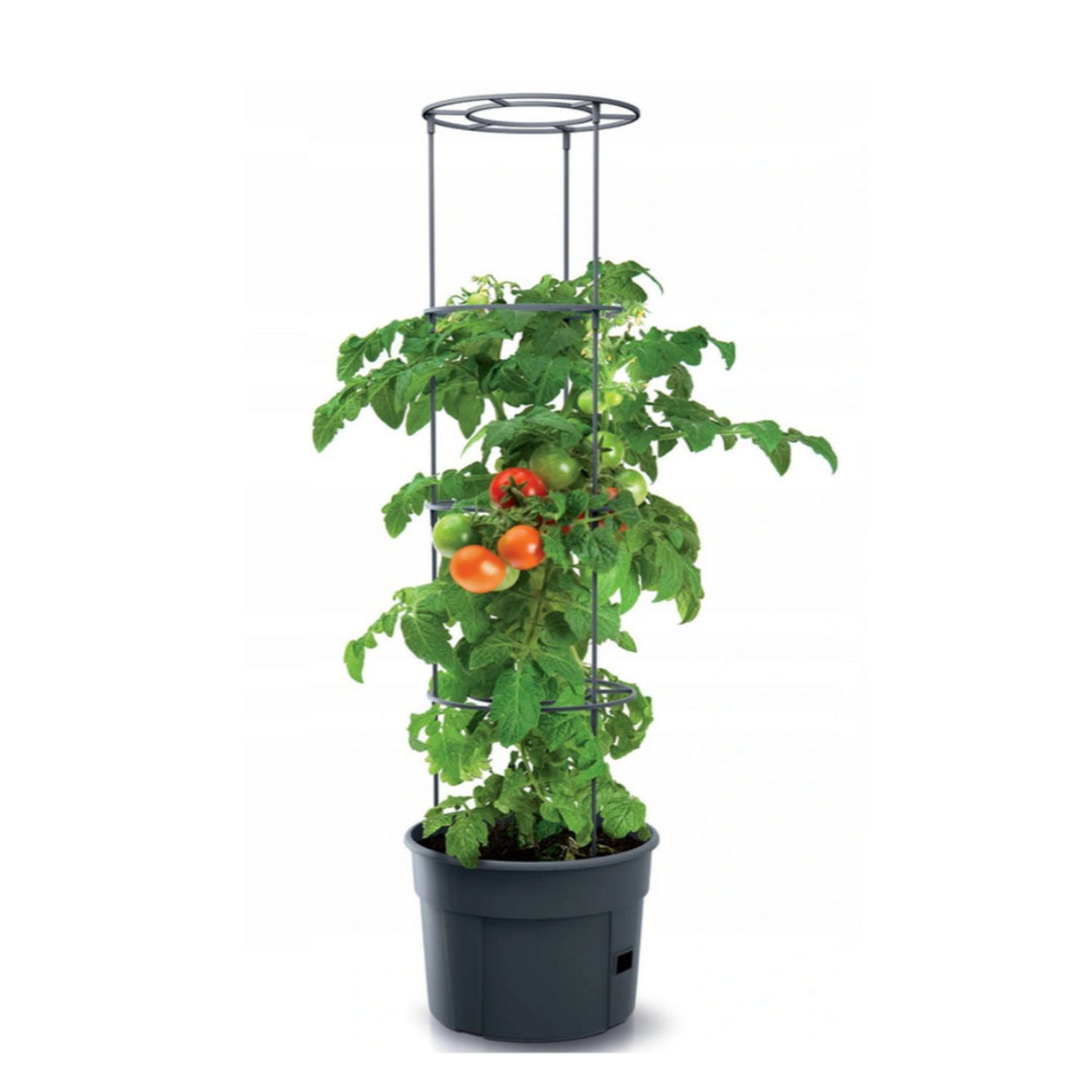 Fagyálló paradicsomcserép Tomato Grower IPOM300