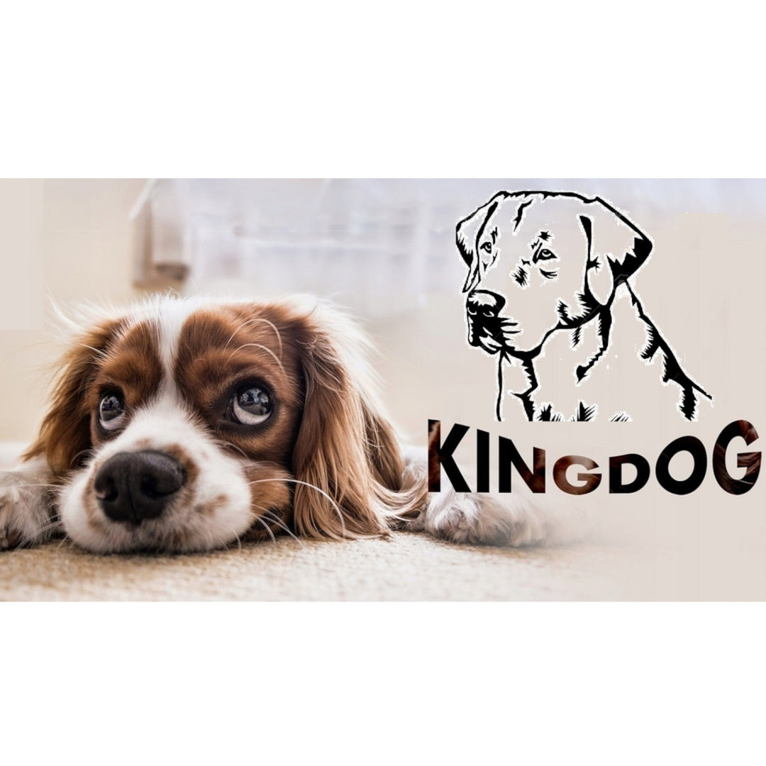 Nagy kutya, macska ágy 75 x 65 Fekete- Kingdog méret M