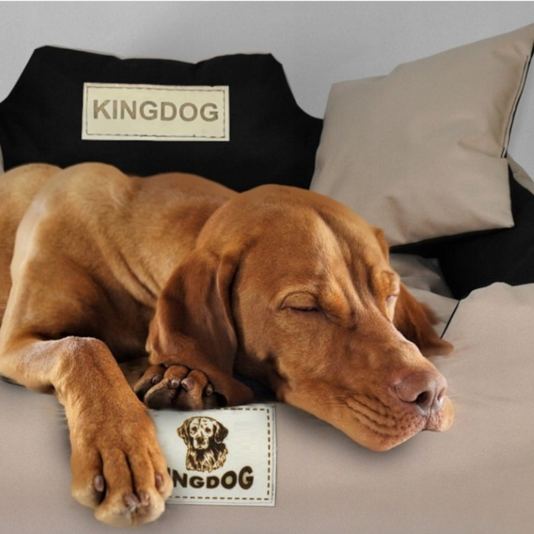 Nagy kutya, macska ágy 75 x 65 Világosszürke - Kingdog méret M