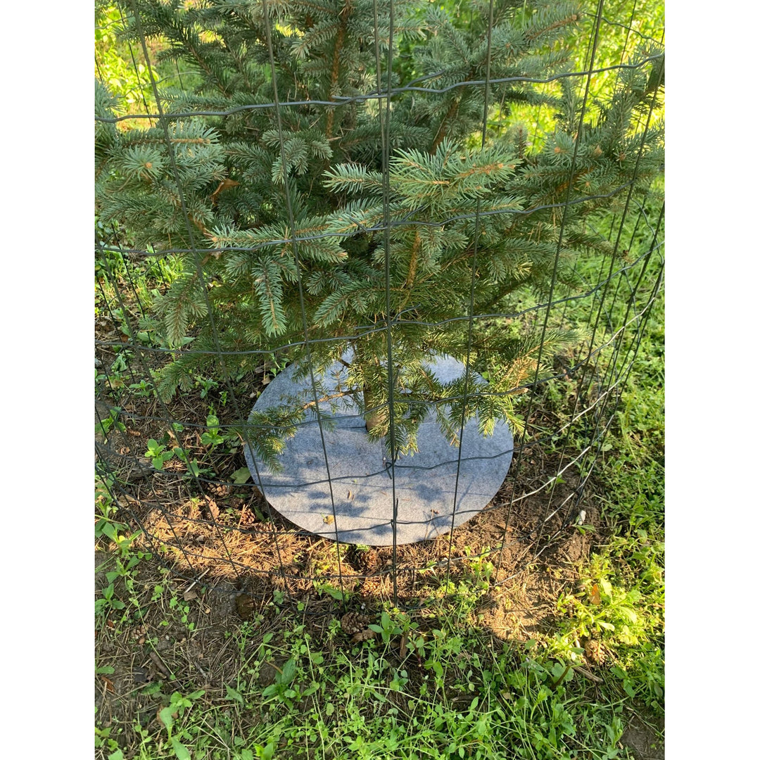 Bertoni gyomirtó tárcsakészlet, 3 db, 40 cm, szürke