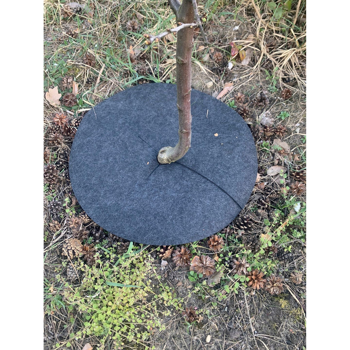 Bertoni gyomirtó tárcsakészlet, 6 db, 50 cm, szürke