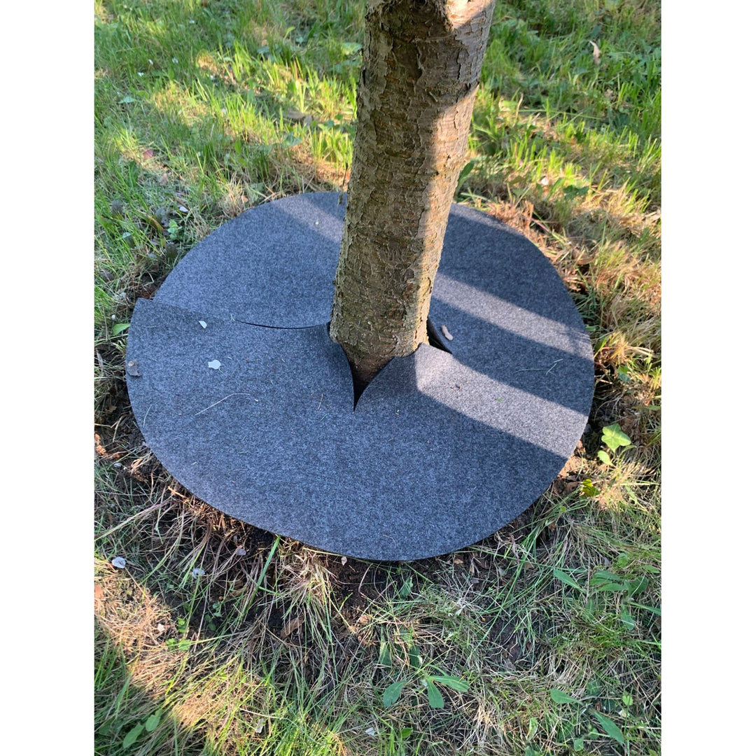 Bertoni gyomirtó tárcsakészlet, 6 db, 60 cm, szürke