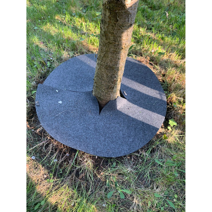 Bertoni gyomirtó tárcsakészlet, 6 db, 60 cm, szürke